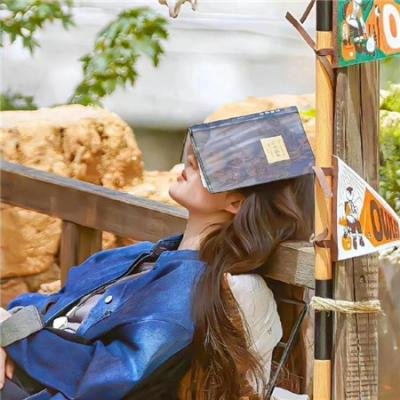 南宋传奇之蟋蟀宰相